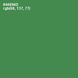 #44894D - Hippie Green Color Image