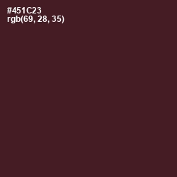 #451C23 - Wine Berry Color Image