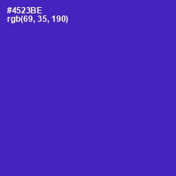 #4523BE - Daisy Bush Color Image