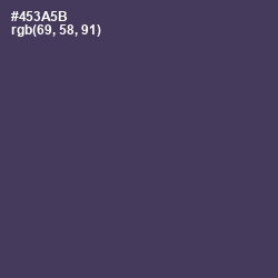 #453A5B - Voodoo Color Image