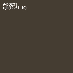 #453D31 - Armadillo Color Image