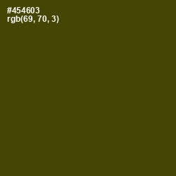 #454603 - Bronze Olive Color Image