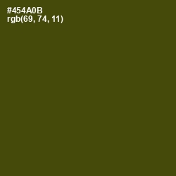 #454A0B - Bronze Olive Color Image