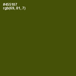 #455107 - Verdun Green Color Image