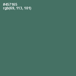 #457165 - Como Color Image