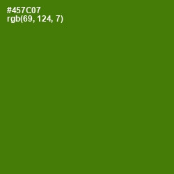 #457C07 - Green Leaf Color Image