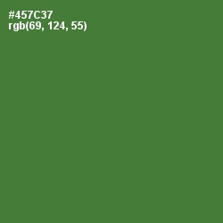 #457C37 - Chalet Green Color Image