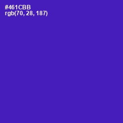 #461CBB - Daisy Bush Color Image