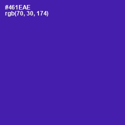 #461EAE - Daisy Bush Color Image