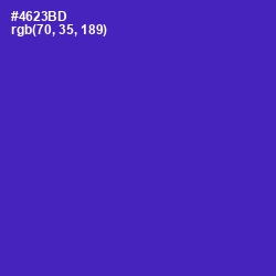 #4623BD - Daisy Bush Color Image