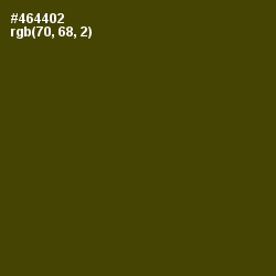 #464402 - Bronze Olive Color Image