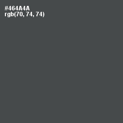 #464A4A - Gravel Color Image