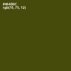 #464B0C - Bronze Olive Color Image