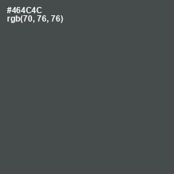 #464C4C - Gravel Color Image