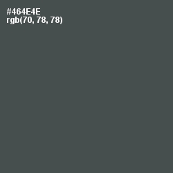 #464E4E - Gravel Color Image