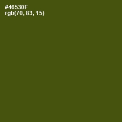 #46530F - Verdun Green Color Image