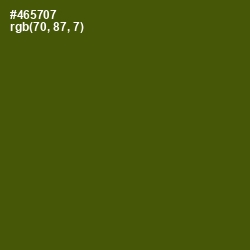 #465707 - Verdun Green Color Image