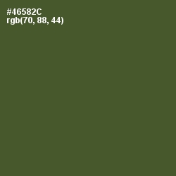 #46582C - Woodland Color Image