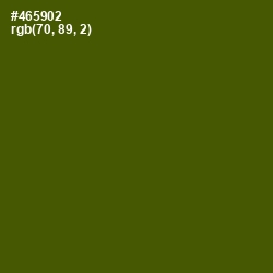 #465902 - Verdun Green Color Image