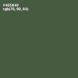 #465A40 - Gray Asparagus Color Image