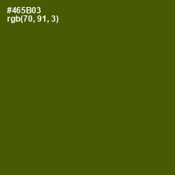 #465B03 - Verdun Green Color Image