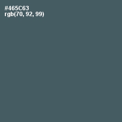 #465C63 - Fiord Color Image