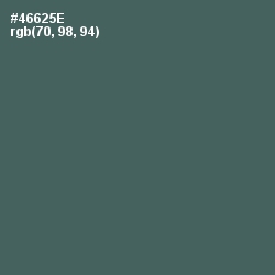 #46625E - Finlandia Color Image