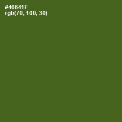 #46641E - Green Leaf Color Image