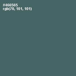 #466565 - Blue Bayoux Color Image