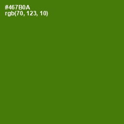 #467B0A - Green Leaf Color Image