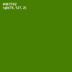 #467F02 - Green Leaf Color Image