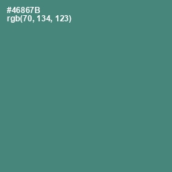 #46867B - Viridian Color Image