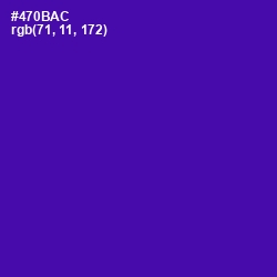 #470BAC - Daisy Bush Color Image