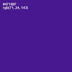 #47188F - Pigment Indigo Color Image