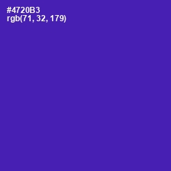 #4720B3 - Daisy Bush Color Image