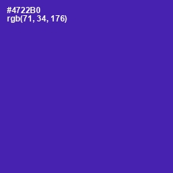 #4722B0 - Daisy Bush Color Image