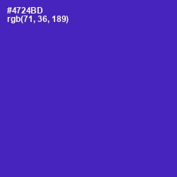 #4724BD - Daisy Bush Color Image