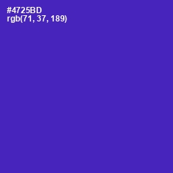 #4725BD - Daisy Bush Color Image