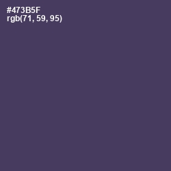 #473B5F - Voodoo Color Image