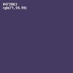 #473B63 - Voodoo Color Image