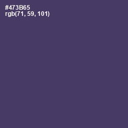 #473B65 - Voodoo Color Image