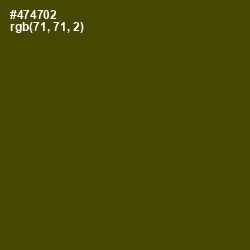 #474702 - Bronze Olive Color Image