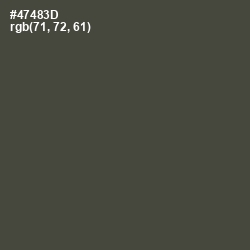#47483D - Kelp Color Image