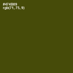 #474B09 - Bronze Olive Color Image