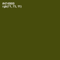 #474B0B - Bronze Olive Color Image