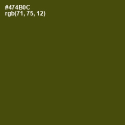 #474B0C - Bronze Olive Color Image