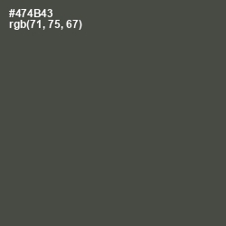 #474B43 - Tundora Color Image