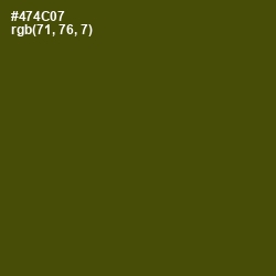 #474C07 - Bronze Olive Color Image