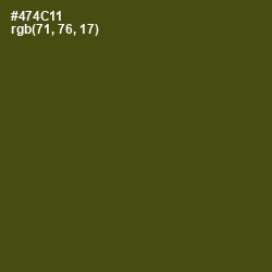 #474C11 - Bronze Olive Color Image