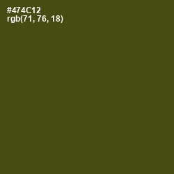 #474C12 - Bronze Olive Color Image